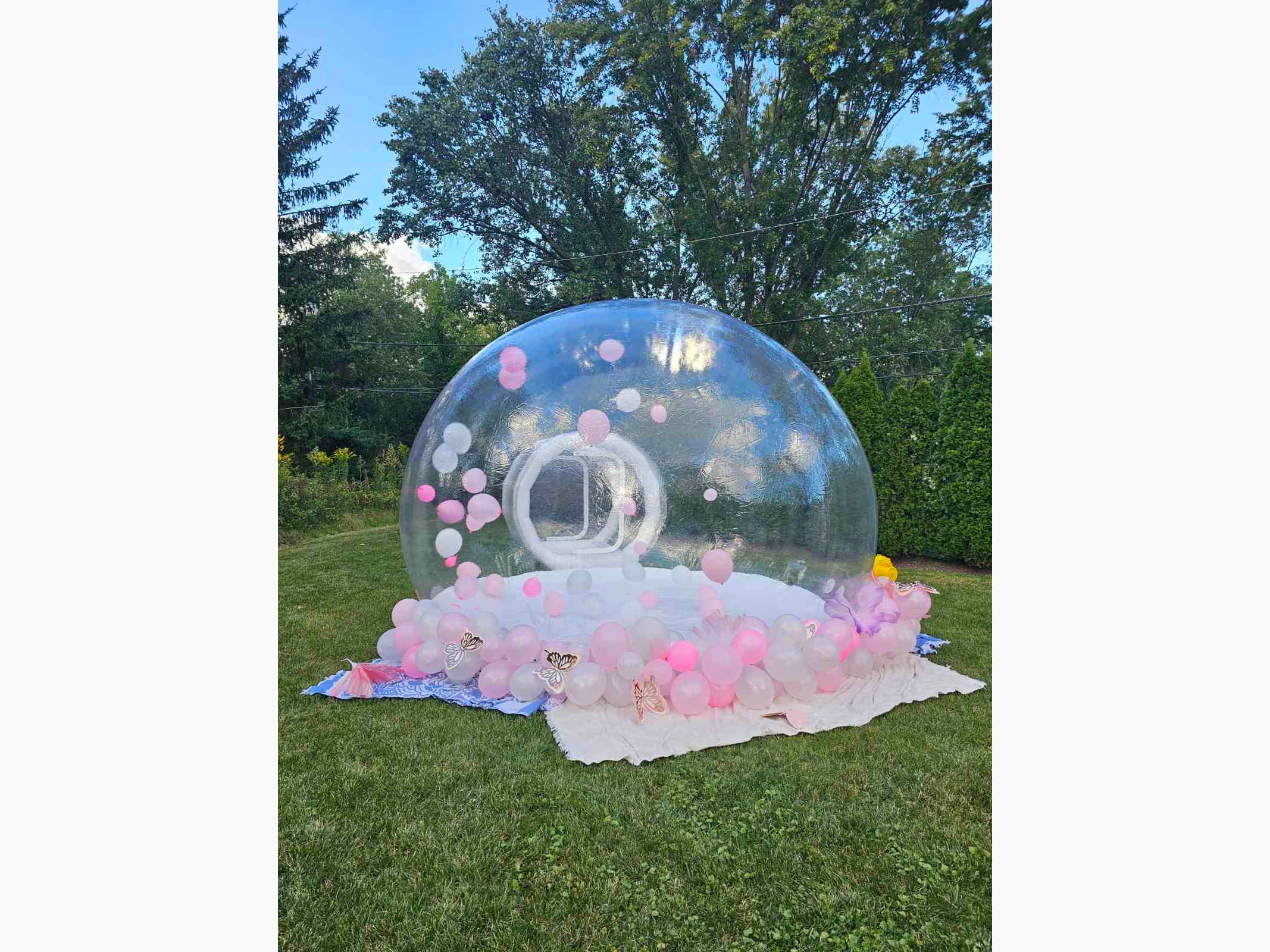 Bubble House photo 3
