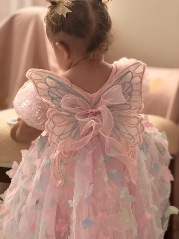 Butterfly Magical Pink Dress